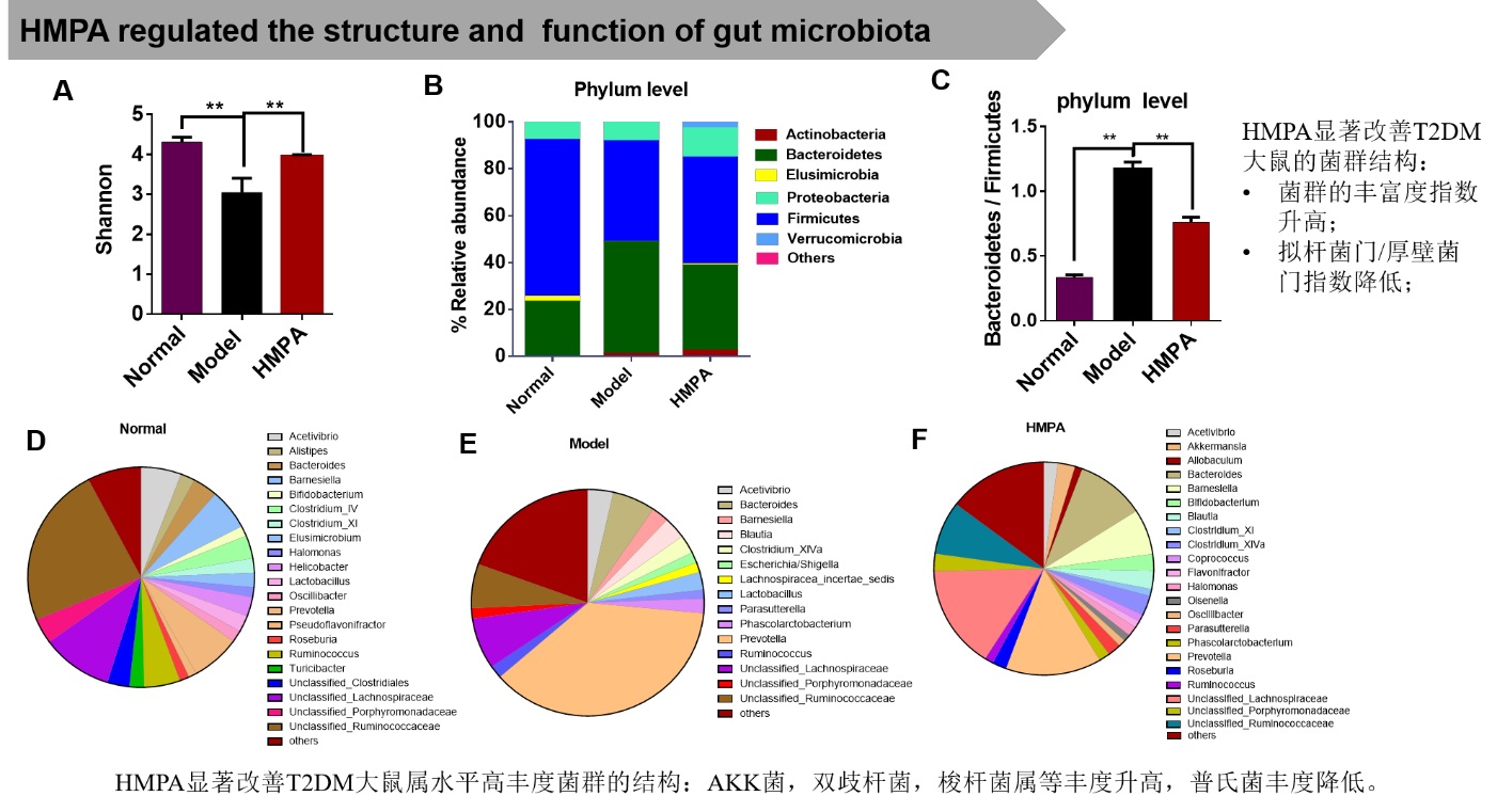 靶向肠道菌群的II型糖尿病治疗药物（HMPA）